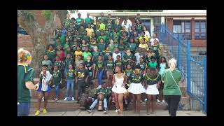 Athlone Park Primary School shows their support for the Springboks [upl. by Madi]