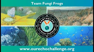 2023 US OurEcho Challenge Finalist Team Fungi Frogs [upl. by Sonni]