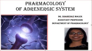 Pharmacology of adrenergic system2 [upl. by Gazo]