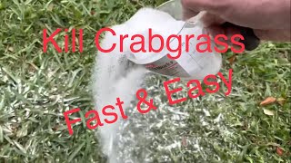 How to Kill Crabgrass Without Affecting Your Lawn Fast amp Easy [upl. by Nnelg]