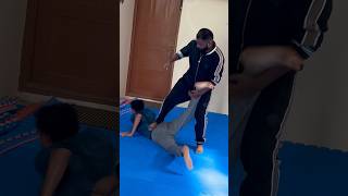 Kata for street fights Heian nidan bunkai part 2 karate bunkai selfdefense kata martialarts [upl. by Thier]