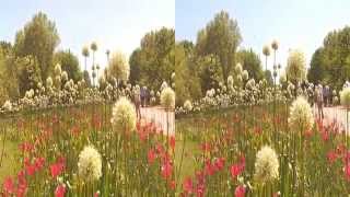 3D Britzer Garten Berlin Pfingsten 2015 [upl. by Etteyafal]