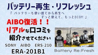 AIBO復活！！ERA 201B1【バッテリー・再生リフレッシュ】リアルな口コミ紹介します [upl. by Orsino]