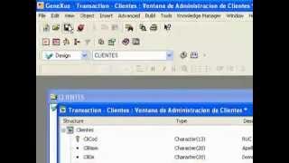 Practica con Genexus 80 y Visual Basic [upl. by Ottavia547]