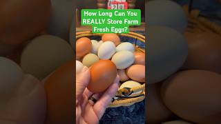 🐓 🥚 How Long Can You REALLY Store Farm Fresh Eggs chickens eggs chickenlife [upl. by Hopper]