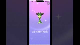 Pokémon go 1112 聚焦時刻幸運點到迷你芙色違 catch pokemongo gaming pokemon 寶可夢 shinypokemon pokémon [upl. by Ecnahc892]