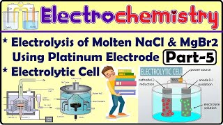 Electrochemistry Part5 Electrolytic Cell Electrolysis of Molten NaclMgBr2 by Platinum Electrode [upl. by Tegan]