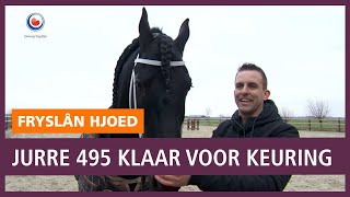 REPO Wordt Jurre 495 voor de vierde keer kampioen op de Hengstenkeuring [upl. by Clarisse]