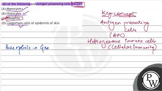 All of the following are Antigen presenting cells EXCEPT A Monocytes B Histocvtes C Basoph [upl. by Acinej]