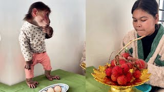 See this funny monkey Icy Are Eating Snack With Mom cute monkey animals eating [upl. by Hera]