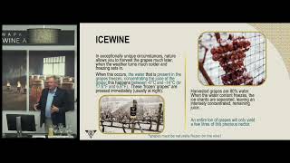 Ice Wine harvest  Masterclass with Inniskillin  Napa Valley Wine Academy [upl. by Olenka]