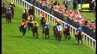 1992 Ever Ready Derby Stakes [upl. by Tymon]