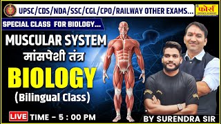 Muscular System  मांसपेशी तंत्र  muscular system Explain  FOR UPSC CDS NDA SSCCGL CPO MPSI [upl. by Dugan277]