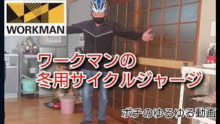 ２０２１年 秋冬 ワークマンサイクルジャージを紹介します。 機能性・着心地最高でした。しかもコスパ最強です。 ワークマンサイクルジャージ [upl. by Nnaitsirk]