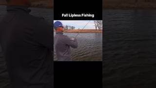 Fall Lipless Crankbait Fishing [upl. by Nazar]