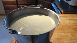 The Raw Milk Renaissance A Farmers Advocacy for Natural Dairy [upl. by Bohun]