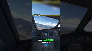 Landing Procedures A Step by Step Guide for Passengers [upl. by Damalis]