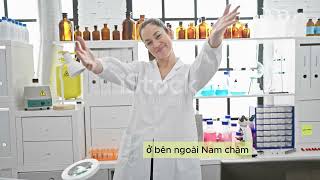 Từ trường của nam châm Mr Thành [upl. by Annirok]