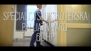 Jobbar du som sjuksköterska Vill du specialisera dig inom palliativ vård [upl. by Aldwin]