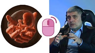 Miroljub Petrović o abortusu [upl. by Yusem]