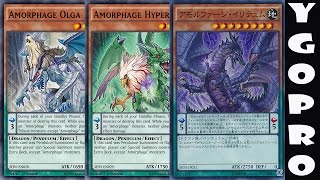 YGOPRO Amorphage Deck Profile Comentado DeckList jan2016 [upl. by Groh975]