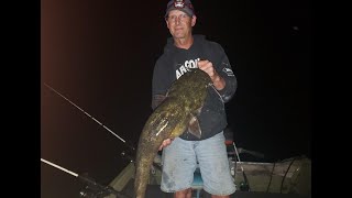 Flathead Fishing the Spawn on the Wolf River [upl. by Ahsaetal784]