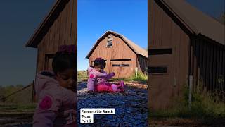 Farmersville Ranch Texas  Part 2  youtubeshorts trending youtubeshorts countryside viralvideo [upl. by Aetnahs938]