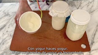 LOS BÚLGAROS NO PRODUCEN YOGUR fermentos mesófilos vs termófilos [upl. by Nivel767]