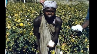 Afgooye Somalia  Historical Stock Footage 1954 [upl. by Victory]