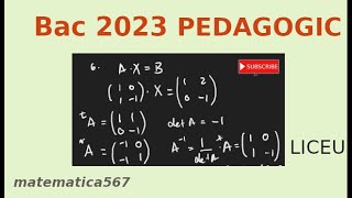 Bac 2023 Matematica modul Pedagogic [upl. by North]