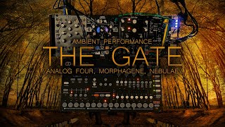 the gate  elektron analog four morphagene nebulae v2  ambient [upl. by Steinway575]