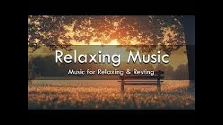 Calm Ambient Jazz – Smooth Background Music for Work and Study [upl. by Benedict242]