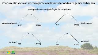 De vegetatie als meetinstrument [upl. by Torruella875]