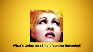 Cyndi Lauper  Whats Going On Single Version Extended [upl. by Gayle323]