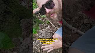 Hen of the woods found in Central Pennsylvania Grifola frondosa [upl. by Alleroif455]