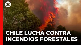 CHILE  Bomberos luchan contra incendios forestales [upl. by Eidnalem742]