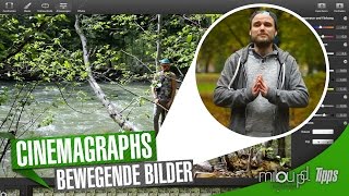 Cinemagraphs Cinemagramm  bewegende Bilder  Milou PD Tipps [upl. by Tiny]