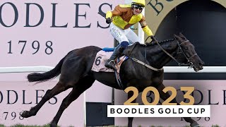 GALOPIN DES CHAMPS WINS THE BOODLES GOLD CUP [upl. by Harbird]