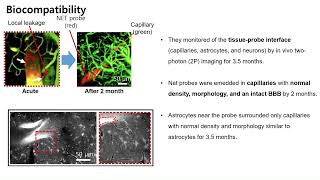 저널미팅 Ultraflexible nanoelectronic probes from reliable glial scarfree neural integration [upl. by Maddox]