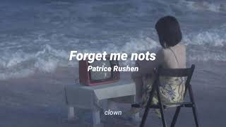 Patrice Rushen  Forget me nots traducida al español [upl. by Eustache]