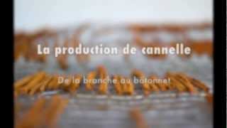 La production de Cannelle [upl. by Eentruoc436]