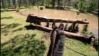 GoPro Let It Be Lee CCI 4  S  2022 Red Hills International Horse Trials [upl. by Ohl]