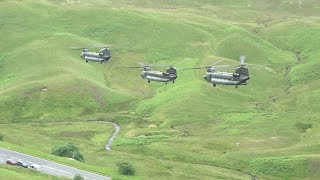 3 x RAF CH47 Chinook 100ft Through The Lake District LFA17 2024 4KUHD [upl. by Nirrep140]