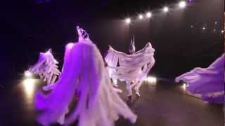 Revue Cabaret Divines Fantaisies  DIVINE  Video Présentation [upl. by Yellat]