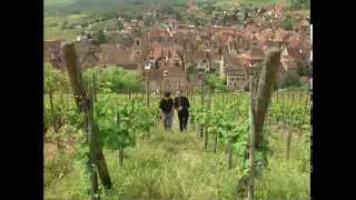 Discover the Wines of Alsace [upl. by Bulley]