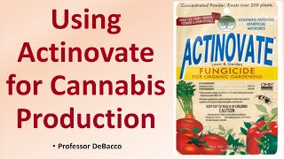 Using Actinovate for Cannabis Production [upl. by Anahsar]