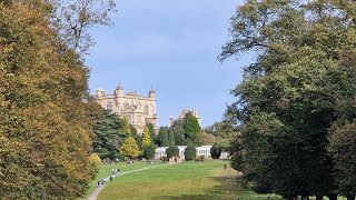 Wollaton Deer Park and Hall historical batman epic wildlife deer nottingham [upl. by Asemaj695]