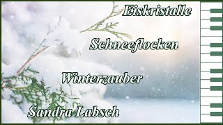 Eiskristalle Schneeflocken Winterzauber  Sandra Labsch [upl. by Oderfigis]