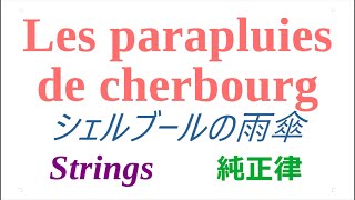 Les paraplu シェルブールの雨傘 Strings 純正律 [upl. by Bamford]