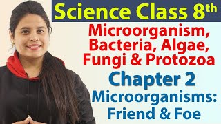 Microorganism Bacteria Algae Fungi amp Protozoa  Chapter 2  Microorganisms Friend and Foe CBSE [upl. by Nnahs]